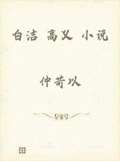 白洁 高义 小说
